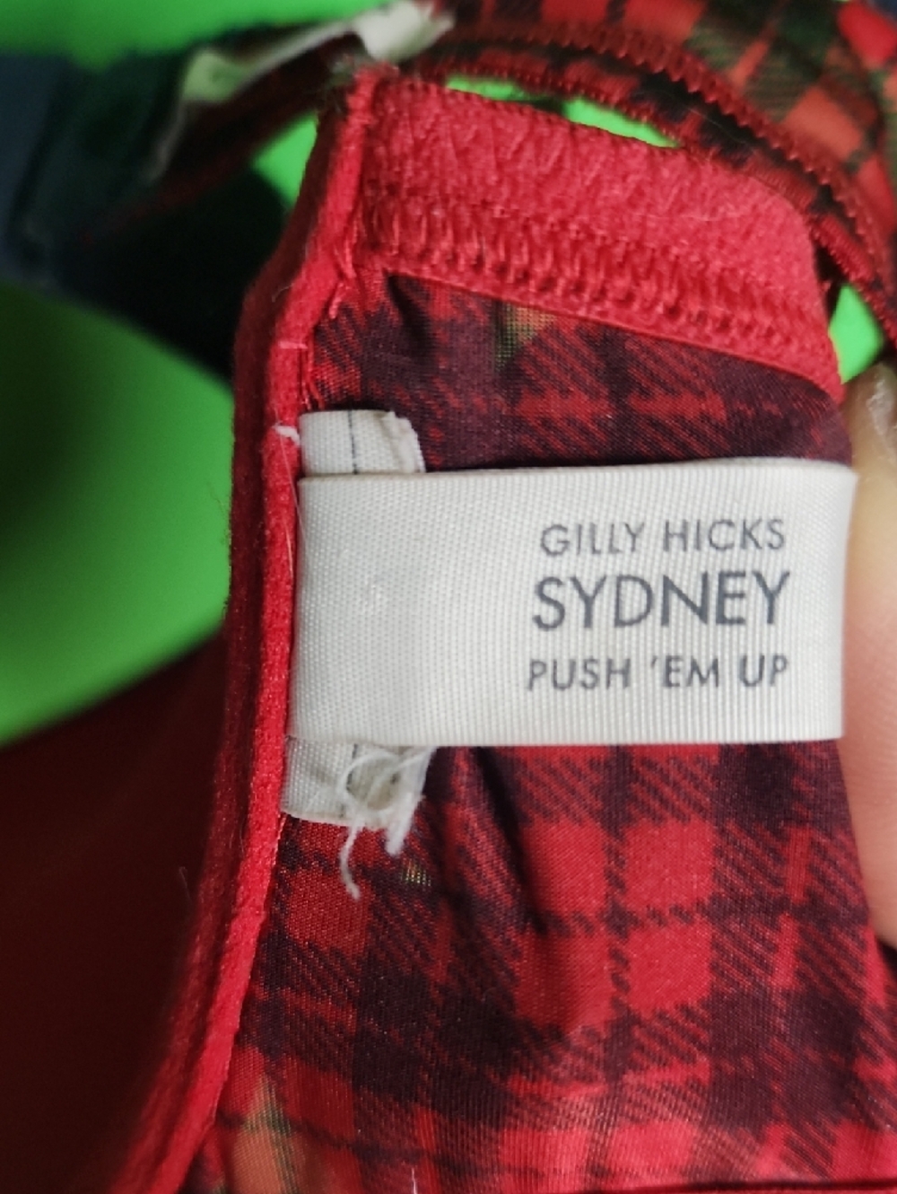 Gilly Hicks Sydney Push 'Em Up Bra - Red Plaid 34B - Picture 6 of 6